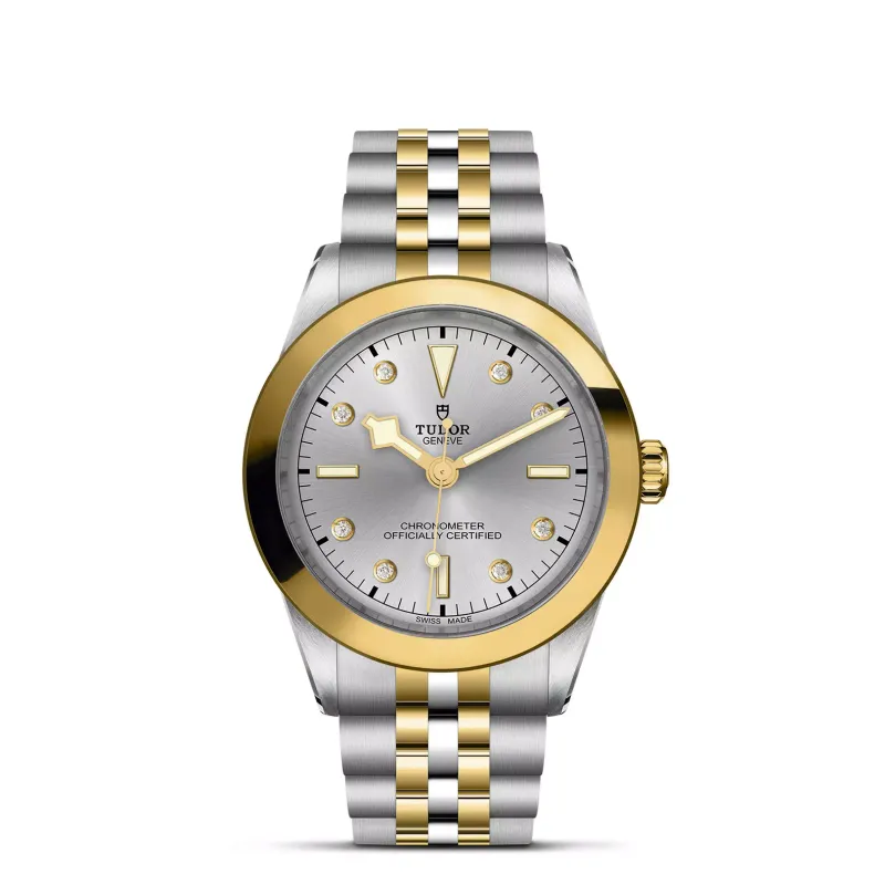 Tudor Black Bay 39 S&G M79663-0007