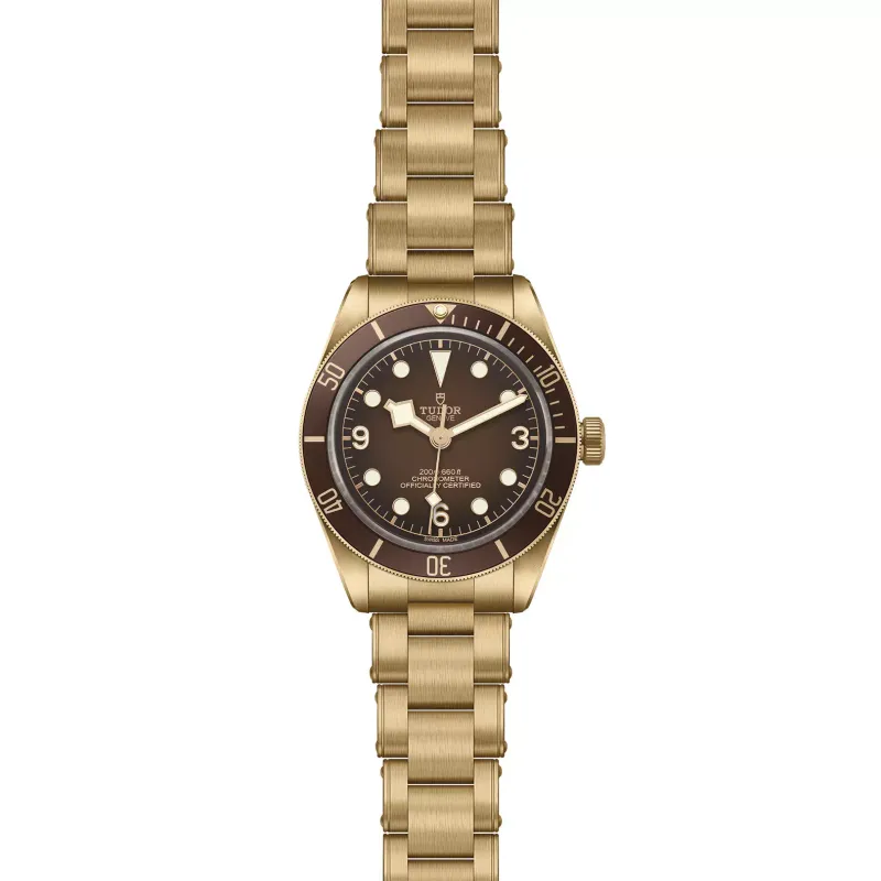 Tudor Black Bay 58 Bronze M79012M-0001