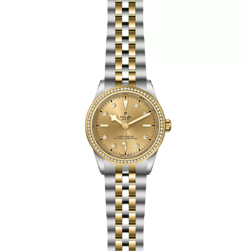 Tudor Black Bay 39 S&G M79673-0007