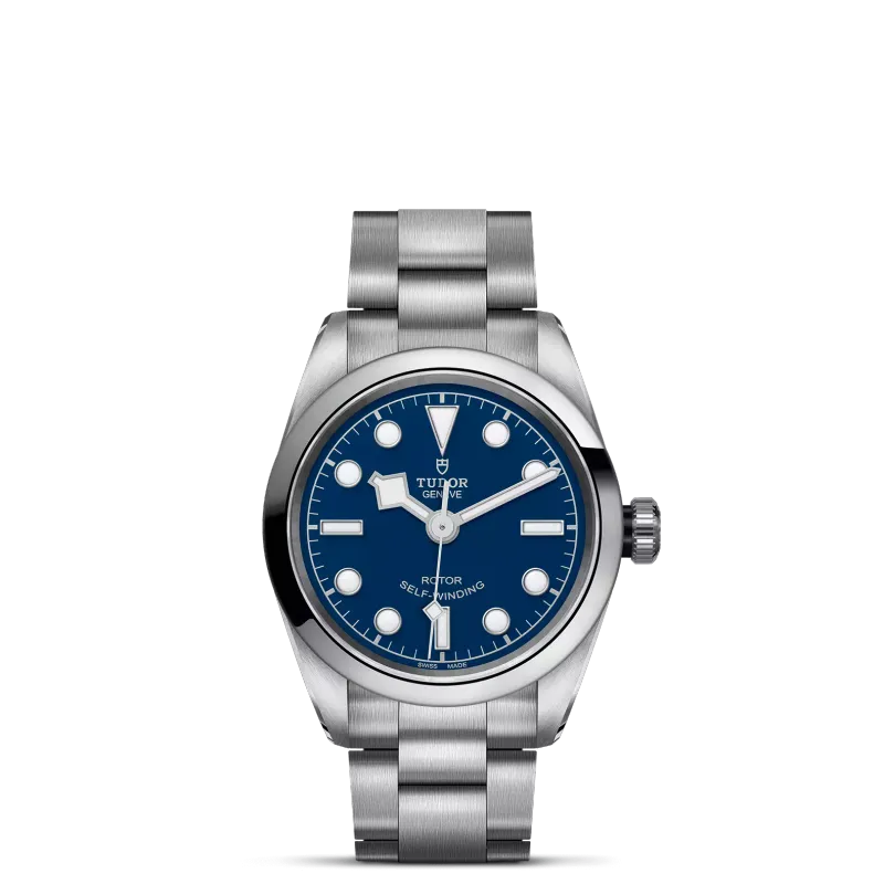 Tudor Black Bay 32 M79580-0003