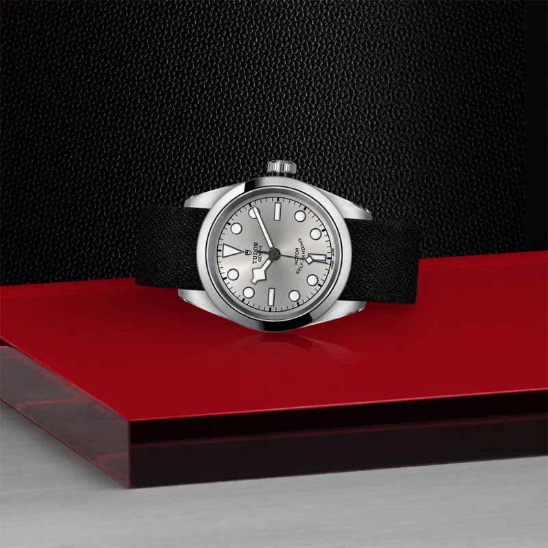 Tudor Black Bay 32 M79580-0008