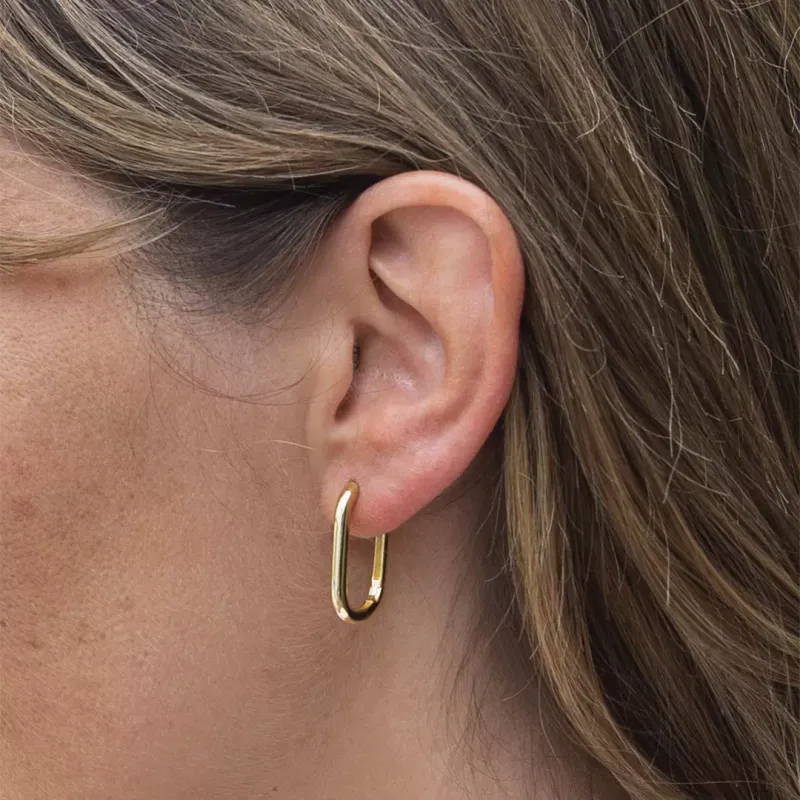 Mesh Silver Earrings 8255002D