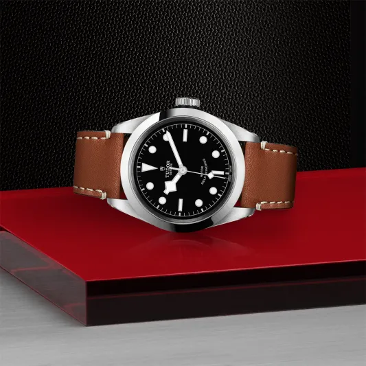 Tudor Black Bay 41 79540/CALF.PI