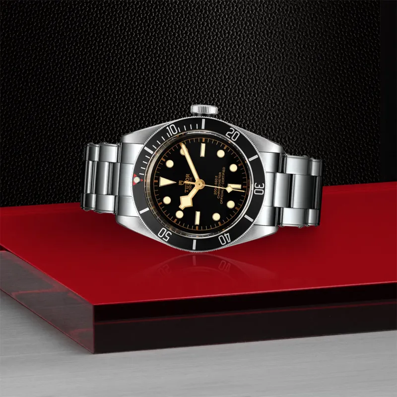 Tudor Black Bay 79230N/72060P