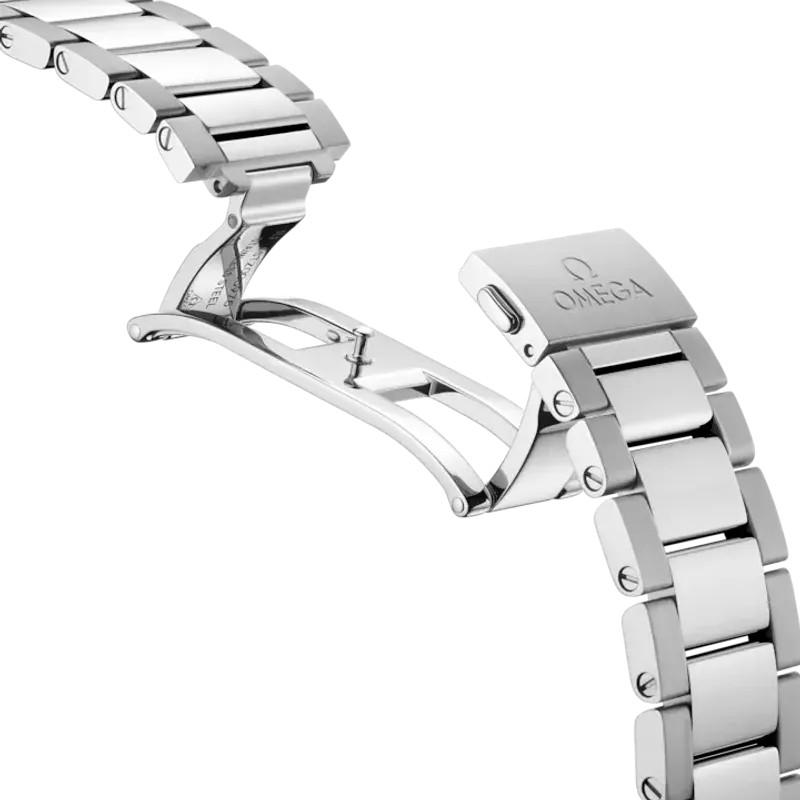 Omega Seamaster Aqua Terra 22010382010001