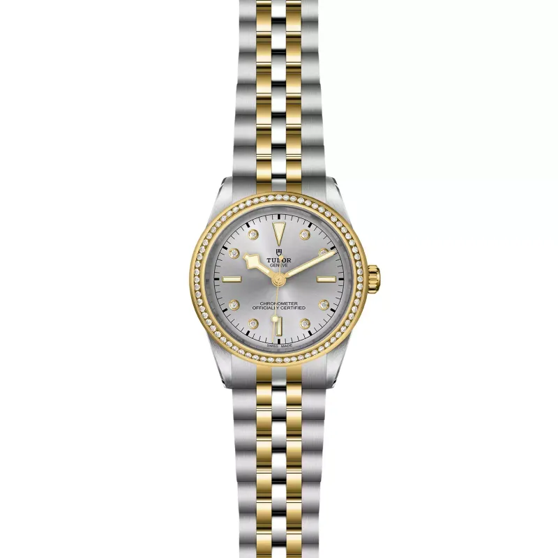 Tudor Black Bay 39 S&G M79673-0006