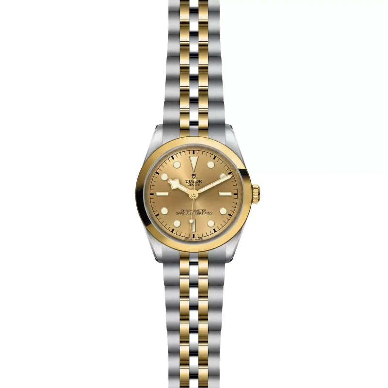 Tudor Black Bay 36 S&G M79643-0005