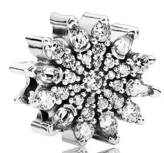 Image Cnt Ag C/Zirc Ice Cristal 2,9G