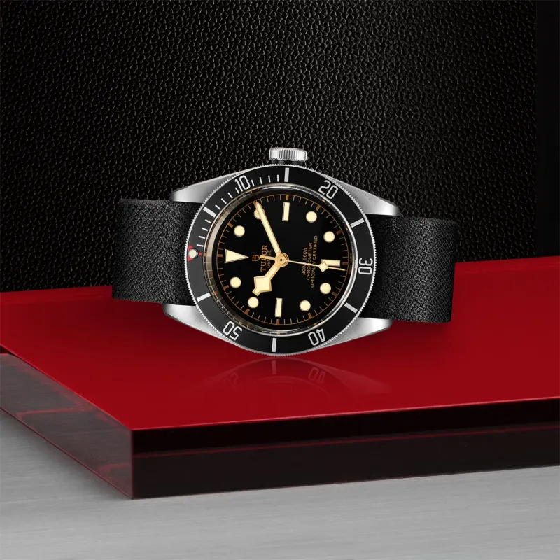Tudor Black Bay M79230N-0005