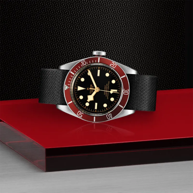 Tudor Black Bay 79230R/FAB.PI