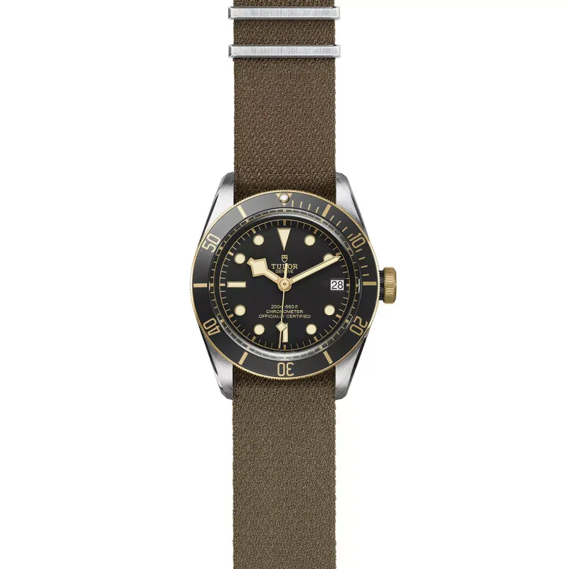 Tudor Black Bay S&G M79733N-0005
