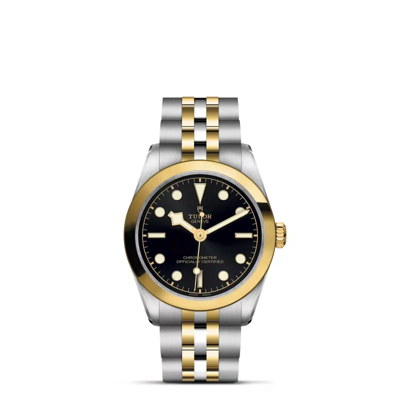 Tudor Black Bay 31 S&G M79603-0001