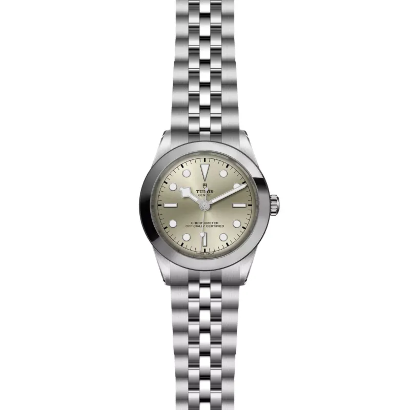 Tudor Black Bay 39 M79660-0003