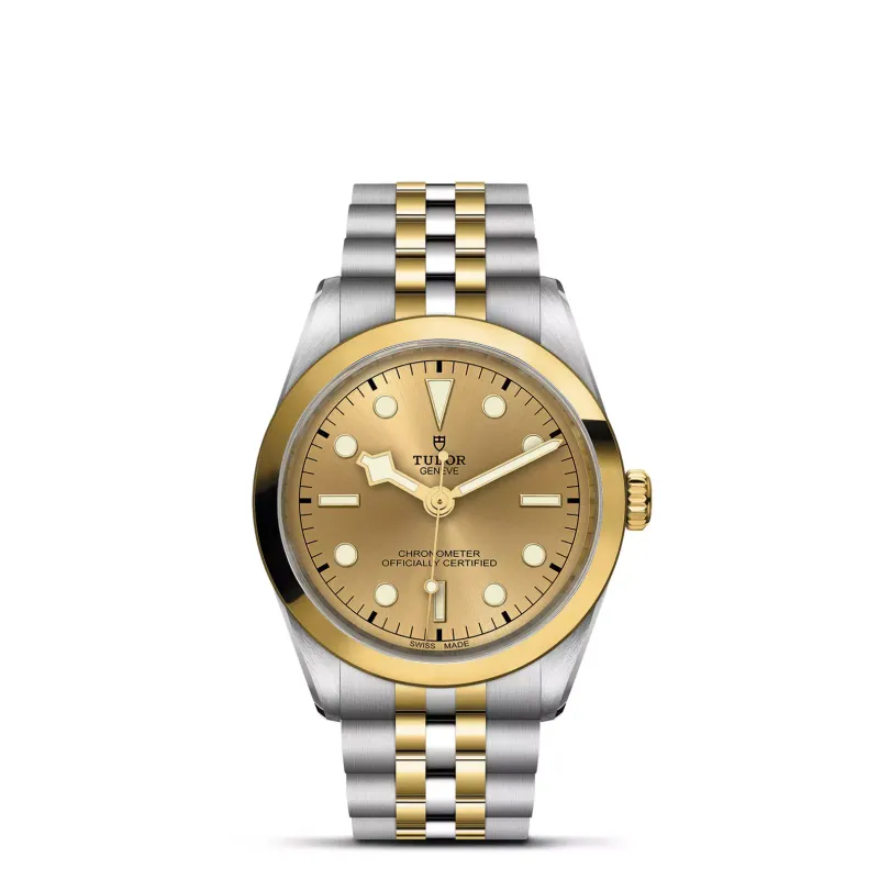 Tudor Black Bay 36 S&G M79643-0005