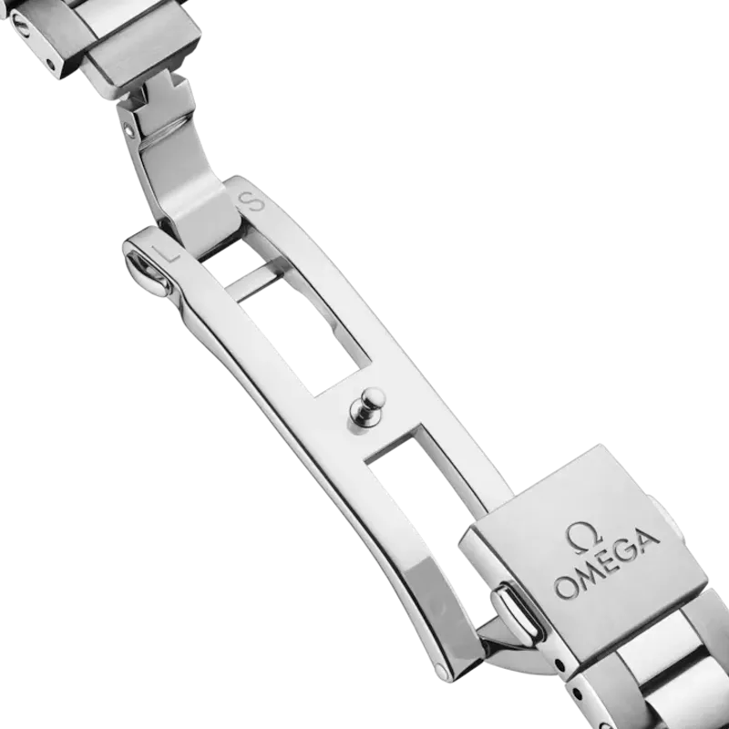 Omega Seamaster Aqua Terra 150M 22010302002001