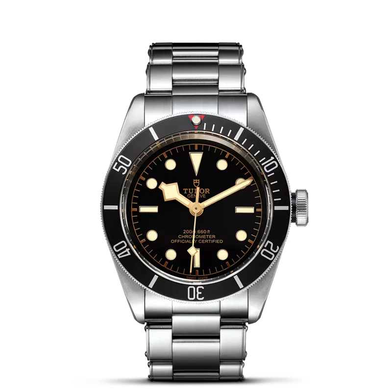 TUDOR Black Bay 79230N/72060P