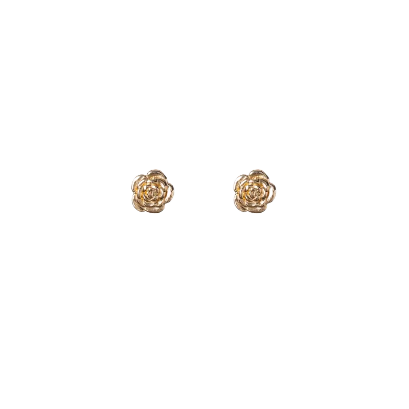 Alisia Earrings prata 925 AL5317.01.000