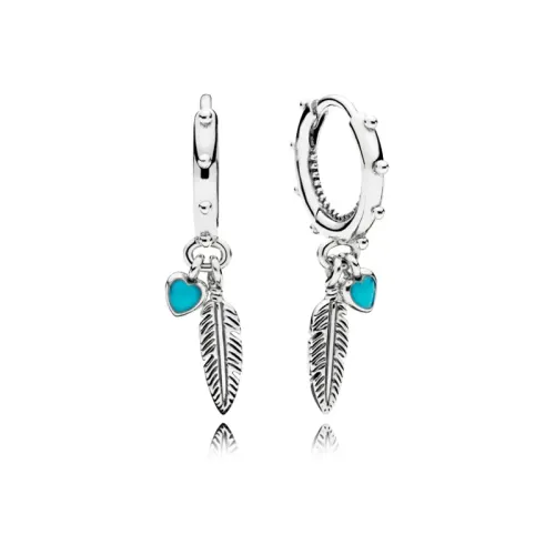 Image Brc Ag C/Esm Tq Spirit F 2,1G