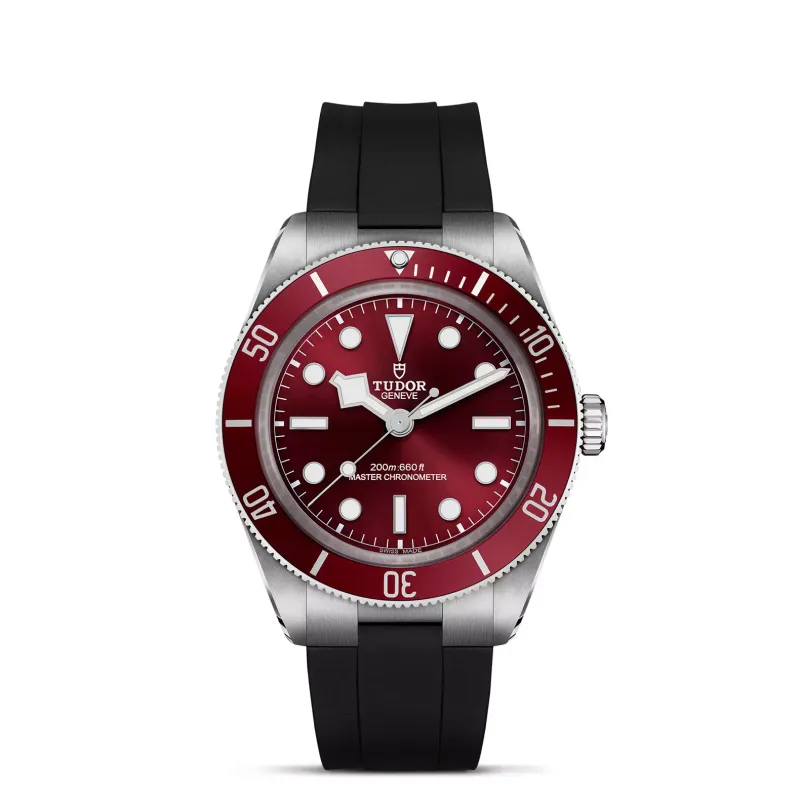 Tudor Black Bay 58 M7939A1A0RU-0003