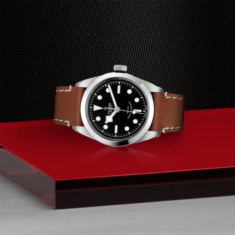 Tudor Black Bay 36 79500/CALF.PI
