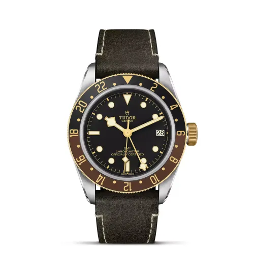 Imagem Black Bay GMT S&G