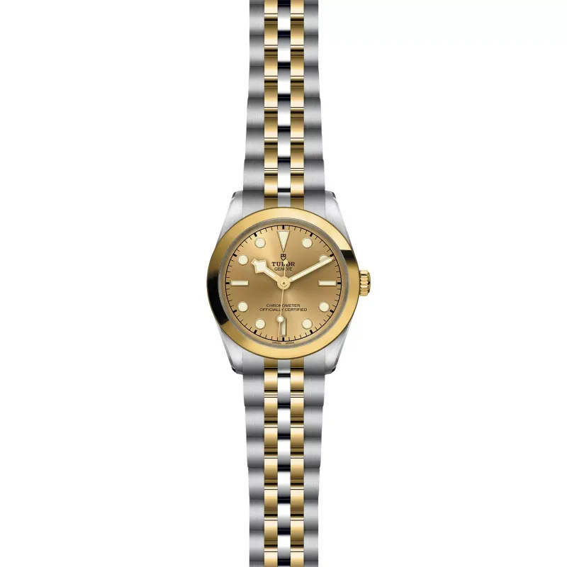 Tudor Black Bay 31 S&G M79603-0005