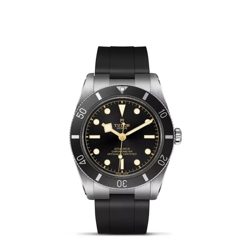 Tudor Black Bay 54 M79000N-0002