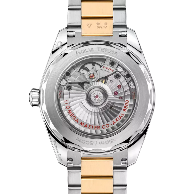 Omega Seamaster Aqua Terra Shades 22020382002002