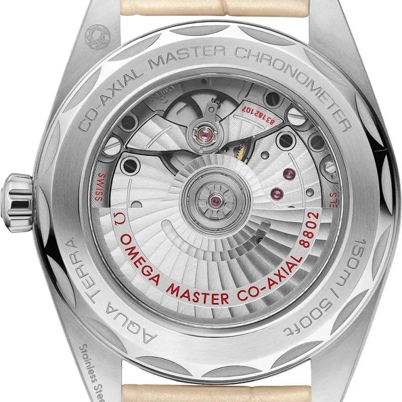 Omega Seamaster Aqua Terra 150M Co-Axial Master Chronometer 22013382009001