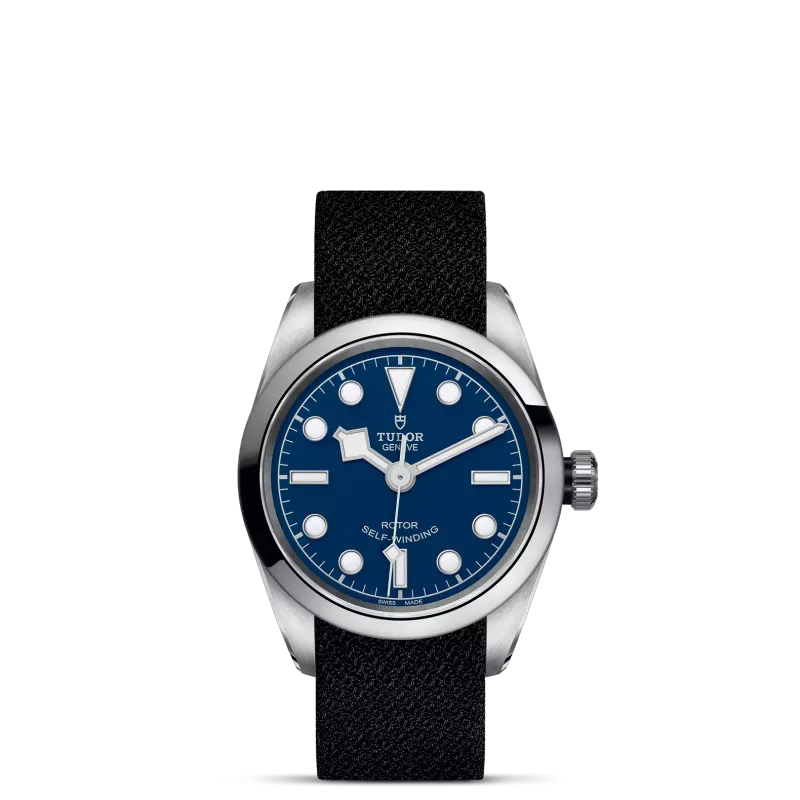 TUDOR Black Bay 32 M79580-0006