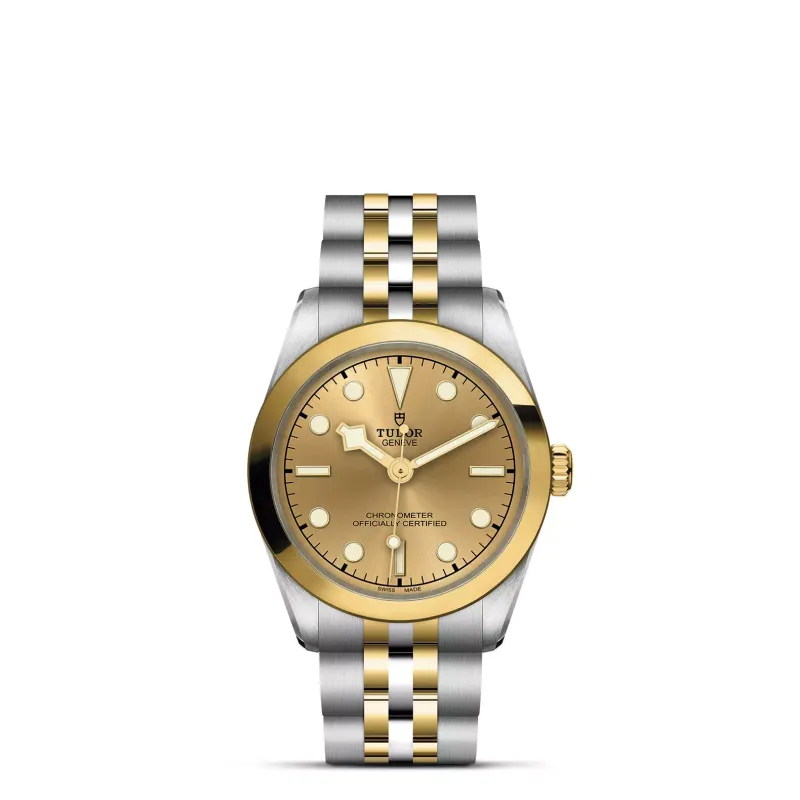 Tudor Black Bay 31 S&G M79603-0005