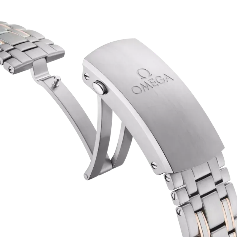 Omega Seamaster Diver 300M Co-Axial 21020422001001