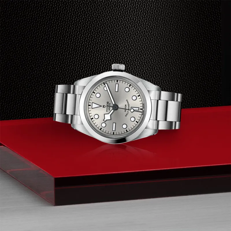 Tudor Black Bay 36 M79500-0013