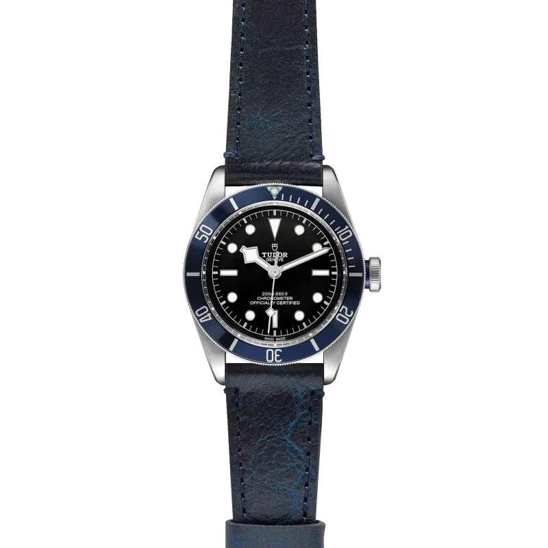 Tudor Black Bay M79230B-0007