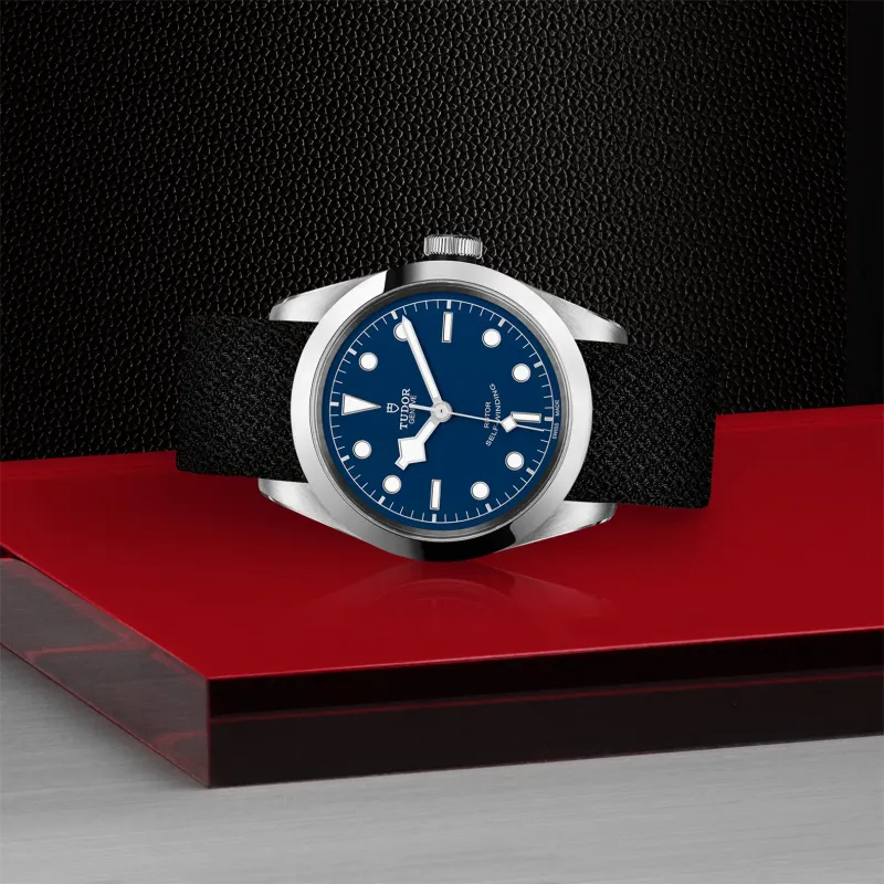 Tudor Black Bay 41 M79540-0010