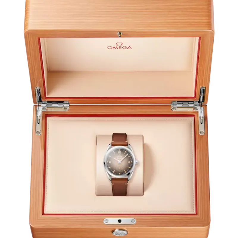 Omega Seamaster Railmaster 23512382013001