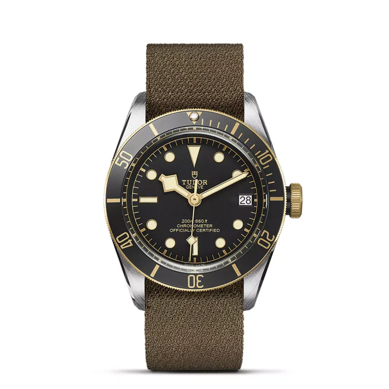 Tudor Black Bay S&G M79733N-0005