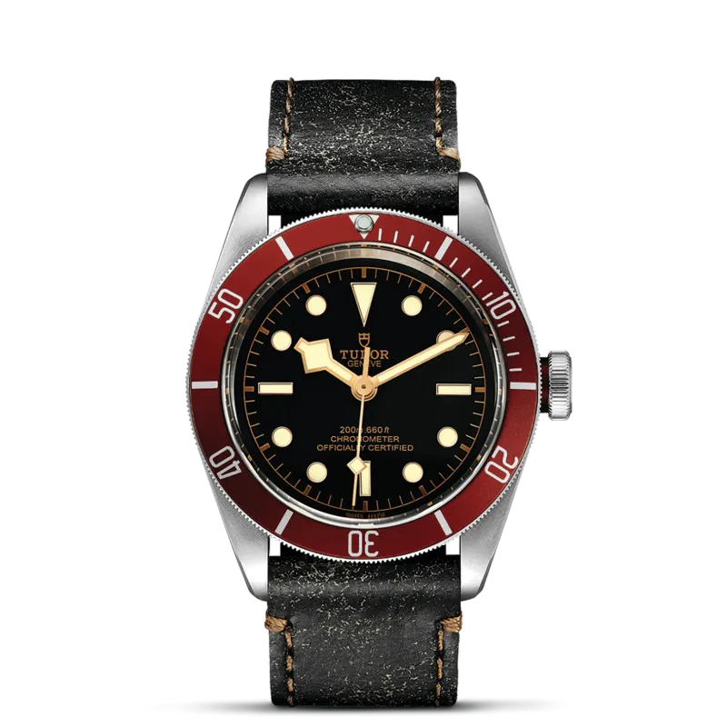 TUDOR Black Bay 79230R/CALF.PI