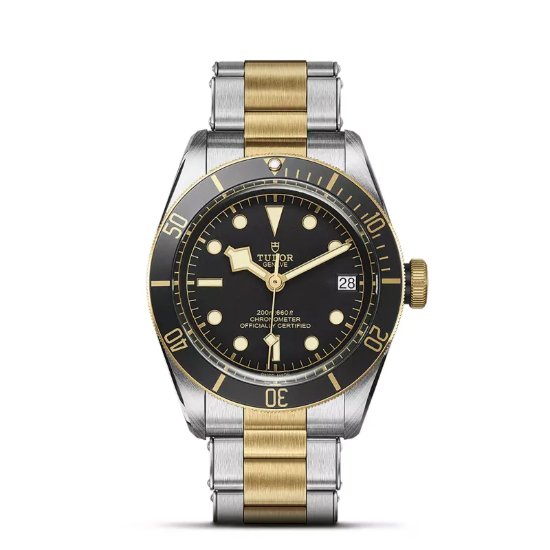 Tudor Black Bay S&G 79733N/72063P