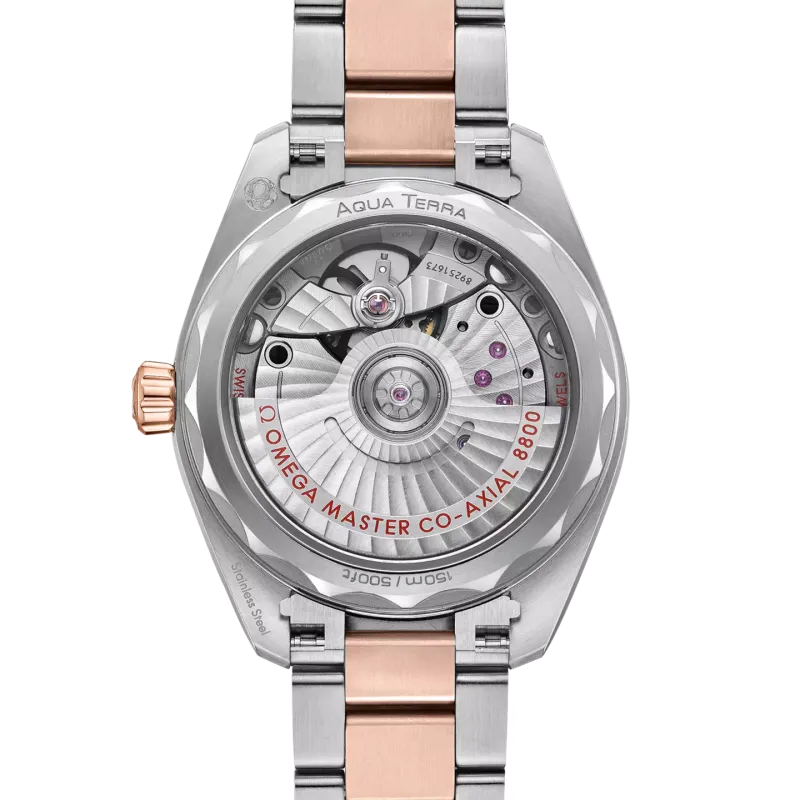 Omega Seamaster Aqua Terra 150M 22020342003001