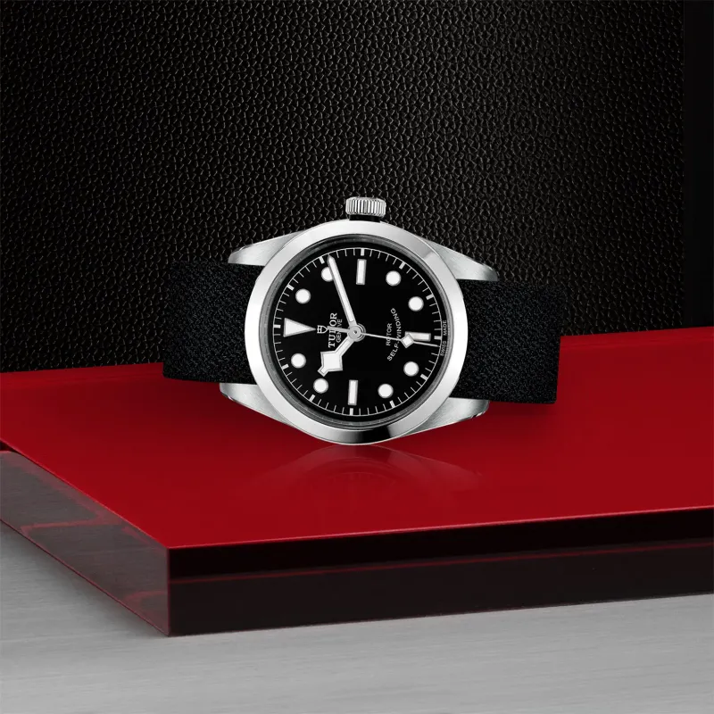 Tudor Black Bay 36 M79500-0010