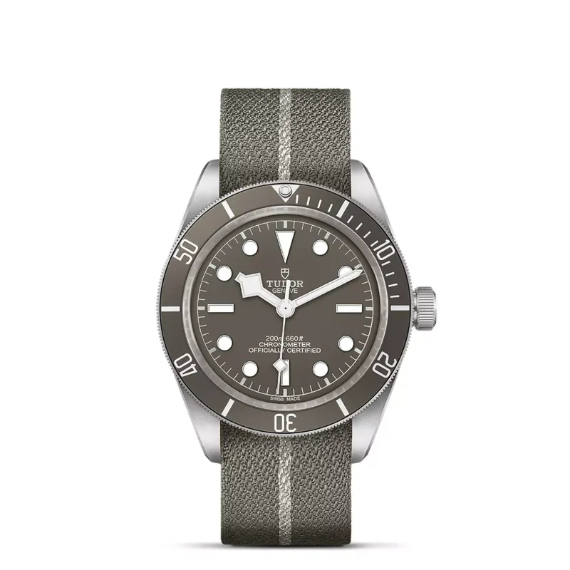 Tudor Black Bay 58 925 M79010SG-0002