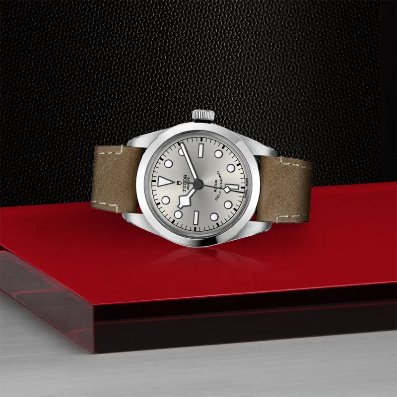Tudor Black Bay 36 M79500-0015