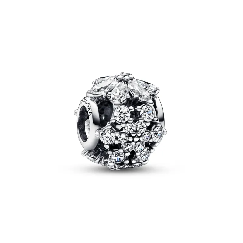 Pandora Sparkling Herbarium Cluster Round Charm 792383C01