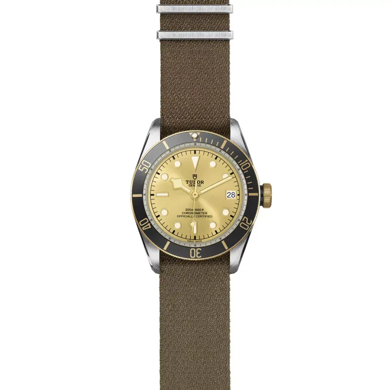 Tudor Black Bay S&G M79733N-0006