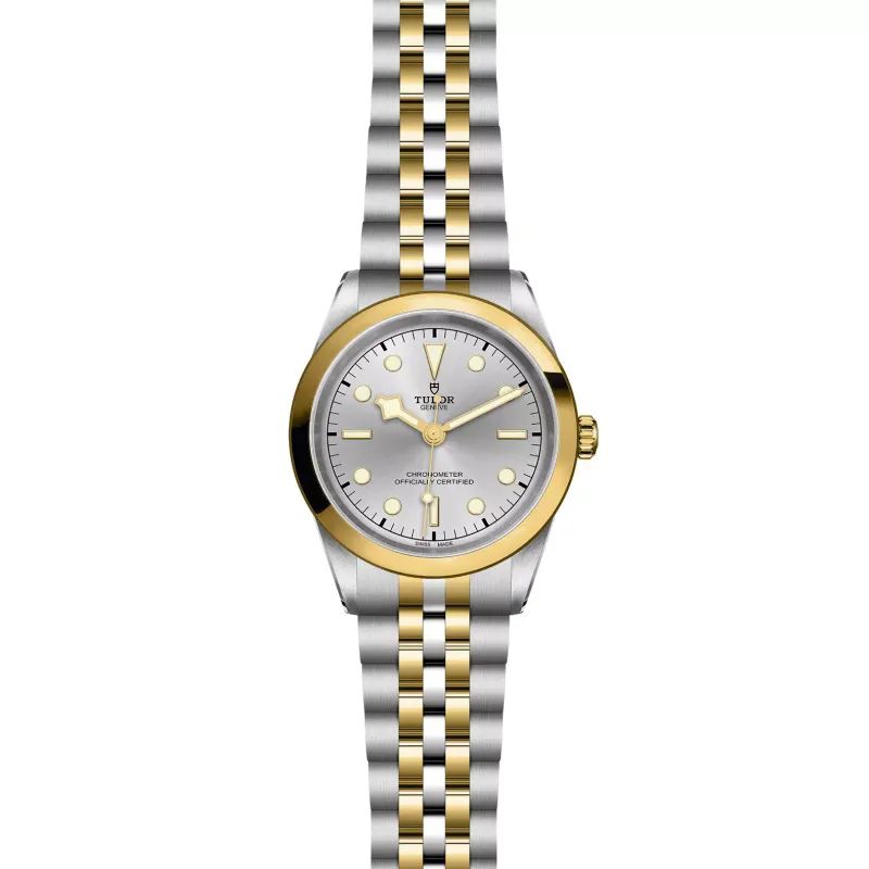 Tudor Black Bay 41 S&G M79683-0002