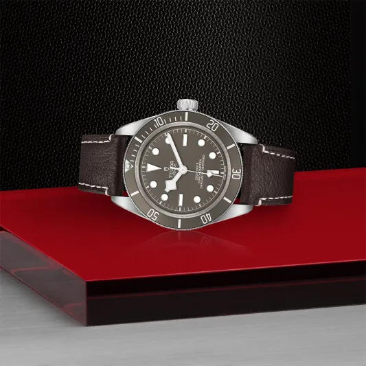 Tudor Black Bay 58 925 M79010SG-0001