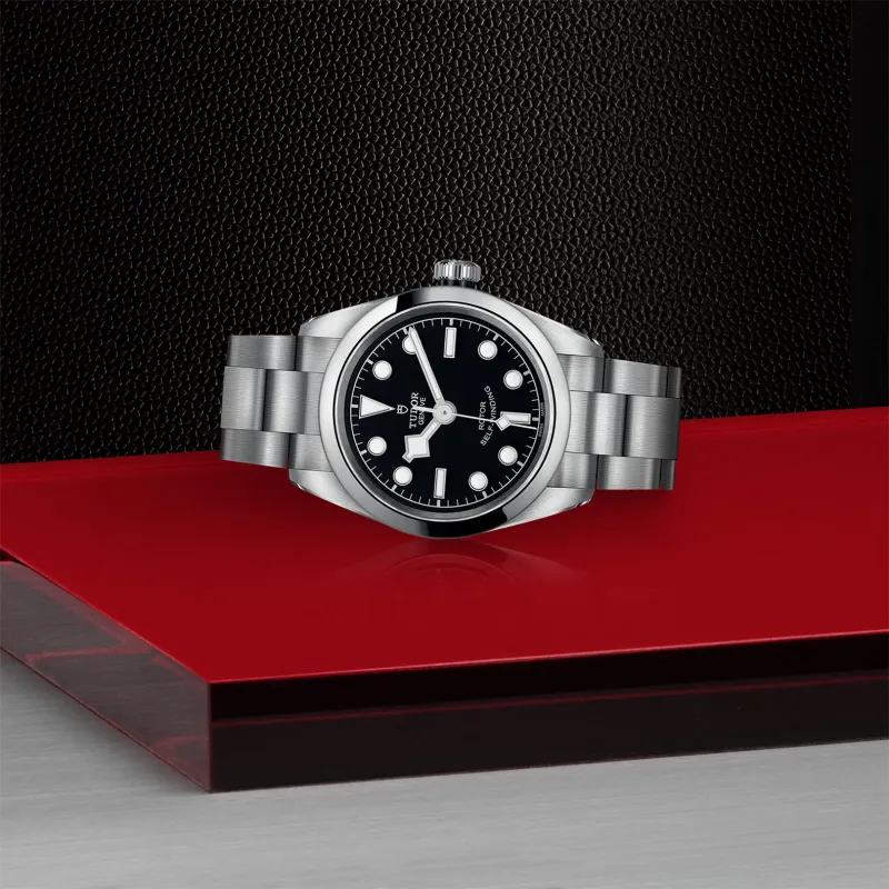 Tudor Black Bay 32 M79580-0001
