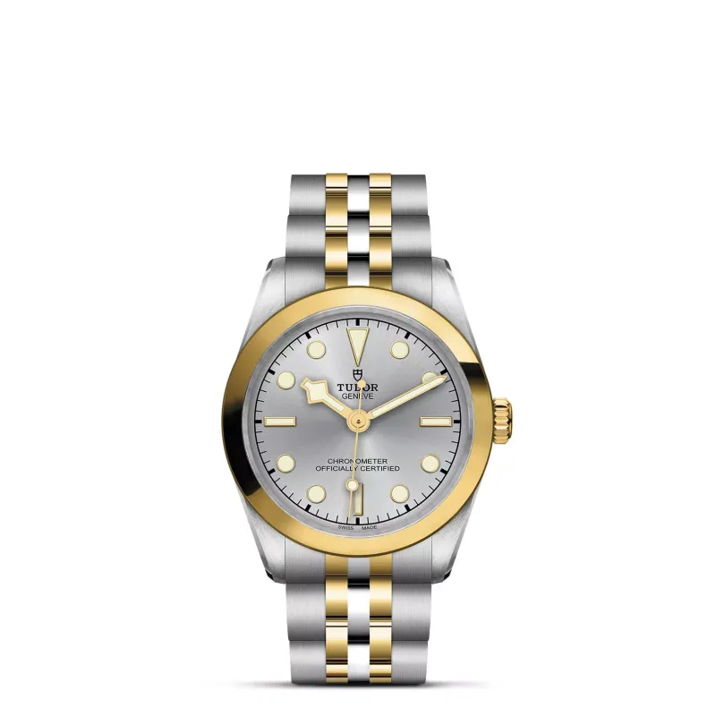 Tudor Black Bay 31 S&G M79603-0002