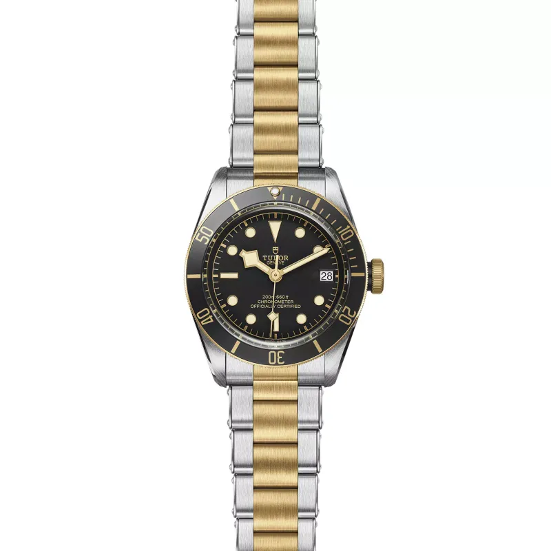 Tudor Black Bay S&G 79733N/72063P